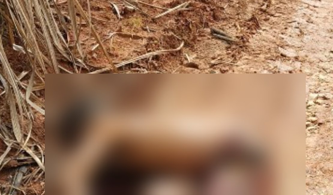 Corpo com marcas de tiros é encontrado em canavial no Norte de Alagoas