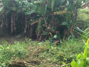 Carro capota e deixa feridos na Barra de Santo Antônio
