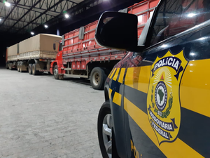 PRF apreende mais de 190 toneladas de milho sem nota fiscal