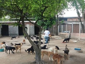 CRAE solicita doações para cães e gatos que estão sem ração