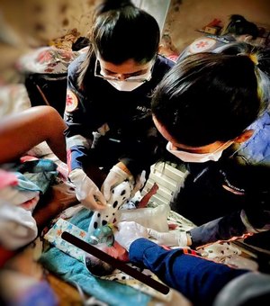 Samu atende parto prematuro domiciliar em Maceió e salva bebê e mãe