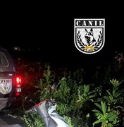 Militares do Canil, do 3º BPM, recuperam moto com queixa de roubo, escondida em plantação em Arapiraca