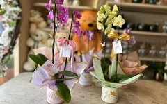 Opções de presentes para o Dia das Mães