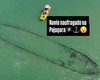 [Vídeo] Maré baixa revela naufrágio de embarcação na Praia de Pajuçara, em Maceió