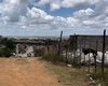 Homem com deficiência é morto em área deserta de Arapiraca