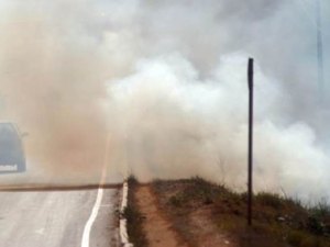 Incêndio em vegetação provoca interdição da BR-316, em Pilar