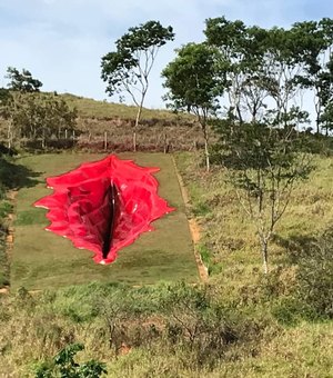 Artista plástica constrói vagina de 33 metros no interior de Pernambuco