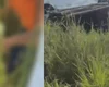 Homem morre após carro bater em outro veículo e capotar na BR-316, em Maribondo