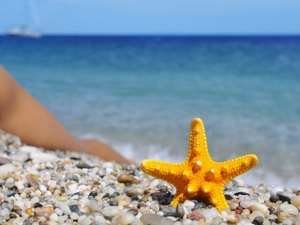 Praia de nudismo com sexo liberado é atração no sul da França