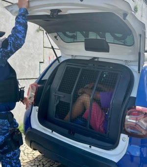 Foragido e homem com mais de dez passagens pela polícia são presos com drogas em Maceió