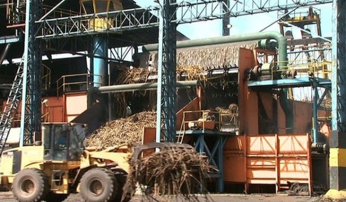 Sem chuva, quebra de produção será maior na safra de cana 15/16 em AL