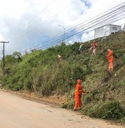 [Vídeo] Após reclamação, Prefeitura realiza trabalho de limpeza em trecho da AL 220, em Arapiraca