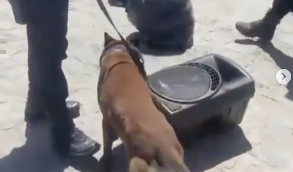 [Vídeo] Cão farejador identifica droga escondida em ônibus do MS com destino a Arapiraca