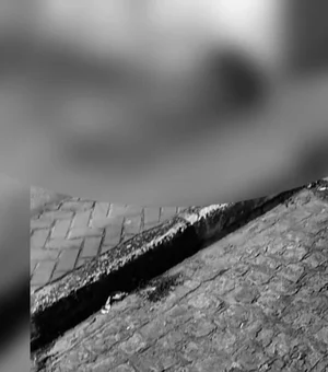 Uma das vítimas de duplo homicídio em Maribondo era natural de Arapiraca