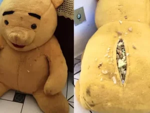 PM apreende menor por droga escondida em urso de pelúcia no interior de SP