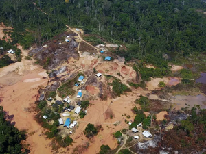 Relatório do Ministério de Direitos Humanos aponta que gestão passada ignorou ou arquivou denúncias sobre os Yanomami