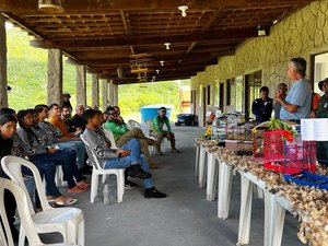 Resgate e liberdade: a missão de salvar a fauna silvestre e conscientizar para a conservação ambiental