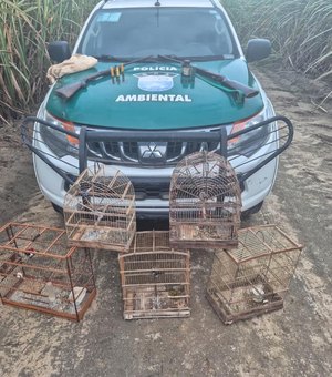 PM apreende armas e resgata mais de 250 animais silvestres durante operações em Alagoas