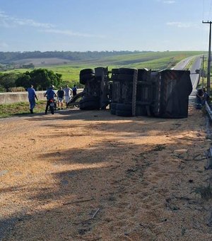 Carreta tomba na BR 101 e deixa carga de milho espalhada na pista