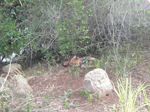 Jovem sem identificação é atraído para emboscada e assassinado com 12 tiros