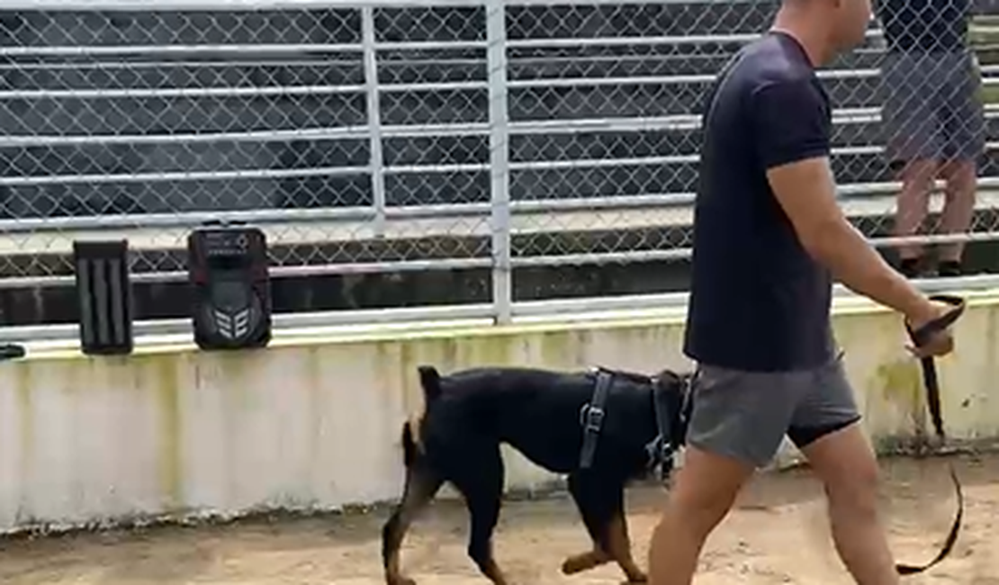 Cão k9 Dark, do  3° BPM, passa por treinamento em estádio de Arapiraca