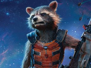 Morre guaxinim que serviu de modelo para Rocket em 'Guardiões da Galáxia'