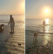 Elefante-marinho é importunado por banhista em Paripueira e biólogos alertam para perigo de mordida