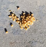Guarda Municipal apreende 85 pedras de crack durante ação na Ponta Verde