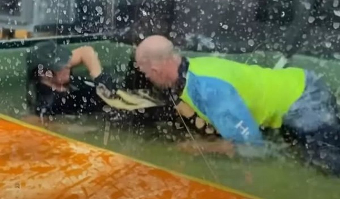 Vídeo:Homem pula em cima de jacaré para salvar treinadora atacada