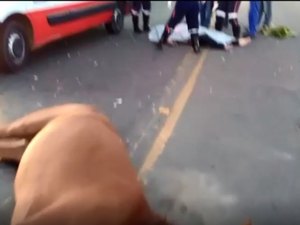 Motociclista e cavalo morrem após colisão na AL-115