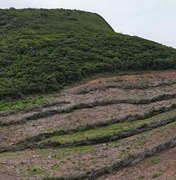 Homem é preso por devastar área de Caatinga equivalente a 800 campos de futebol em AL