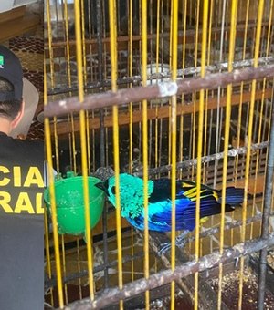 PF investiga sumiço de aves ameaçadas de extinção em zoológico de Alagoas