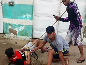 [Vídeo] Homem é mordido por jacaré após tentar imobilizá-lo