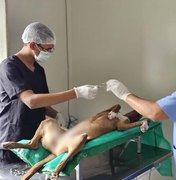 Santana do Ipanema lança Programa Municipal de Castração de Cães