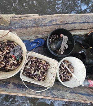 PM flagra grupo que realizava captura proibida de caranguejo-uçá