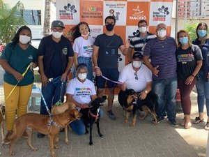 JHC publica decreto que cria Gabinete da Causa Animal em Maceió