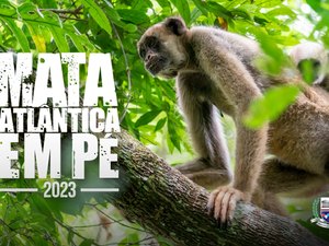 MPAL participa da 6ª edição da Operação Mata Atlântica em Pé