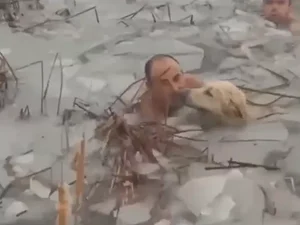 Policiais pulam em lago congelado para salvar cachorro na Espanha