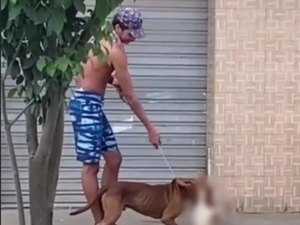 Homem que deixou pitbull assassinar gato é preso por maus tratos