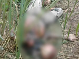 Corpo é encontrado em estado de decomposição no Tabuleiro