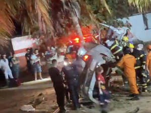 Motorista sobrevive a grave acidente após colidir com coqueiro na AL-220, em Arapiraca