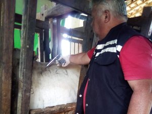 Adeal promove Dia D de vacinação contra raiva animal em Alagoas