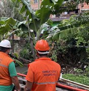 Saiba o que muda na rotina da Defesa Civil quando termina o período chuvoso