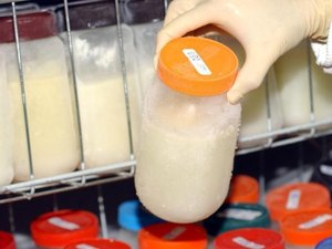 Maceió reforça incentivo à doação de leite humano e alerta para queda no número de doadoras