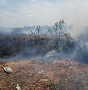 [Vídeo] Fogo em vegetação é registrado no bairro Canafístula, em Arapiraca