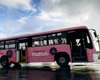 Ônibus da Mulher registra 90 mil embarques em três meses