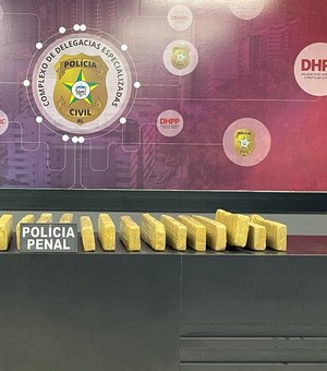 Polícia apreende 20 kg de maconha durante operação integrada, em Rio Largo
