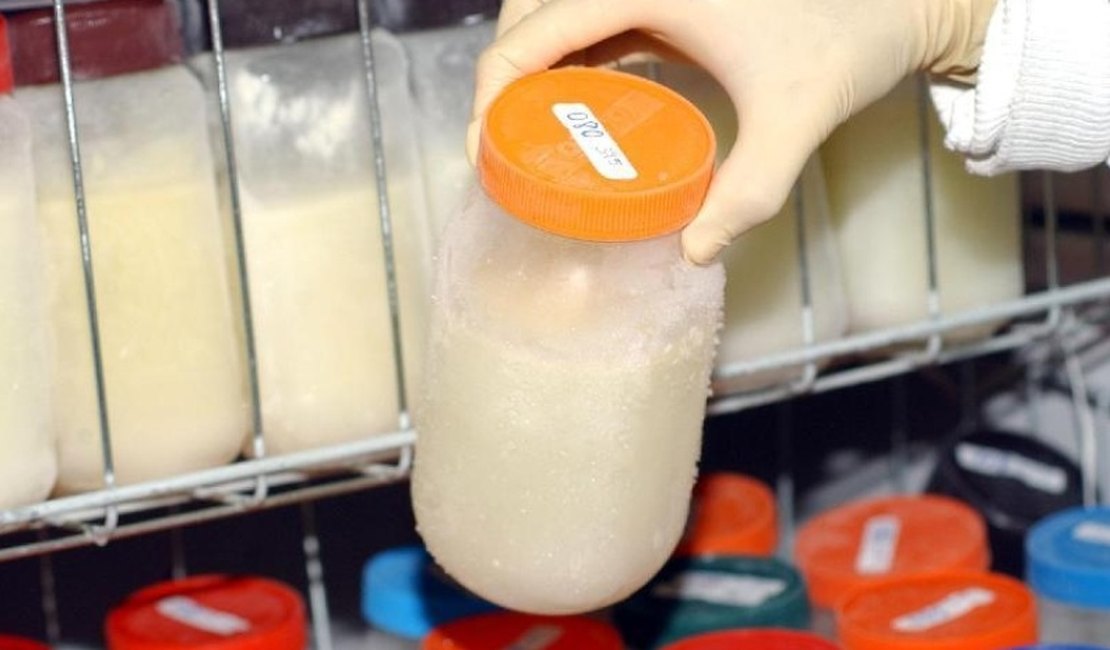 Maceió reforça incentivo à doação de leite humano e alerta para queda no número de doadoras