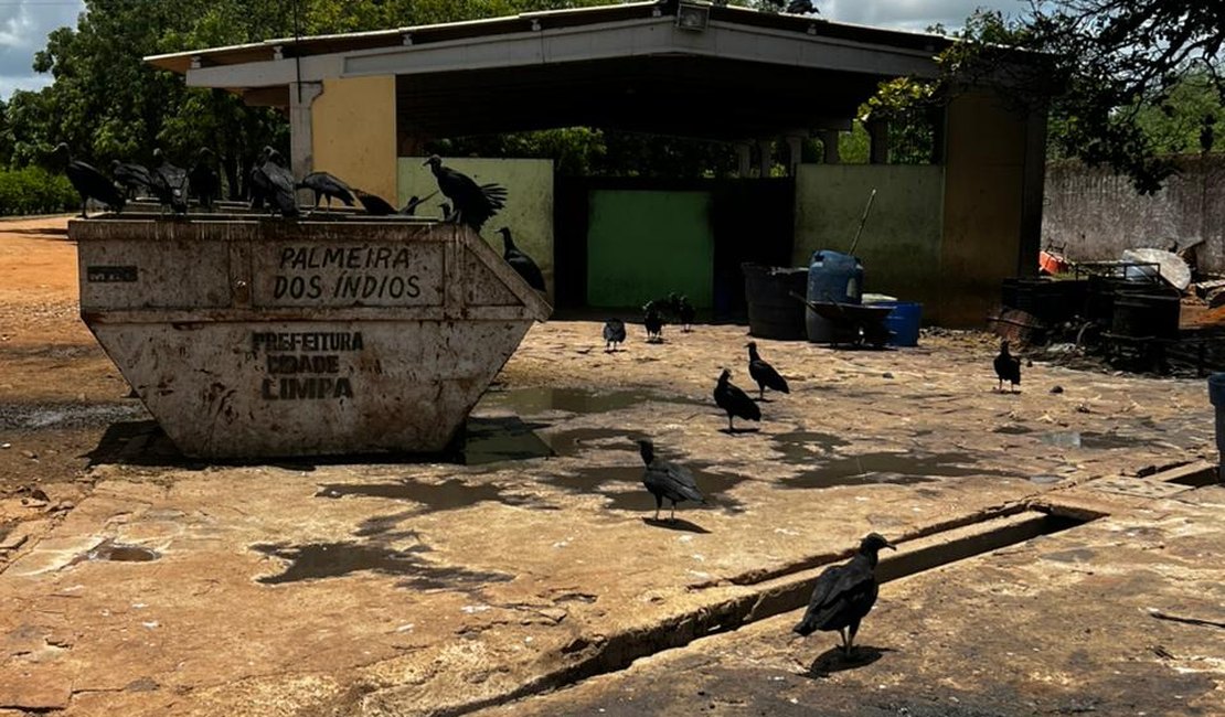 Justiça determina prazo para regularização do matadouro público de Palmeira dos Índios