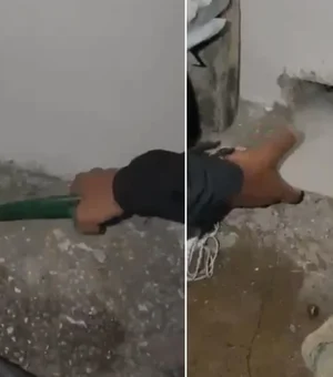 Policiais encontram antenas starlink na parede de cela em presídio do Rio